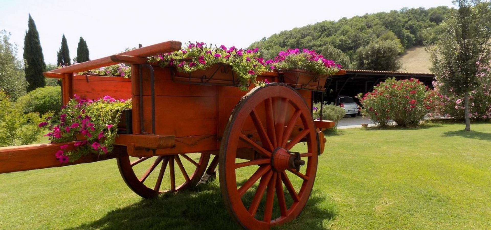 Lorena Agriturismo Argentario Il giardino