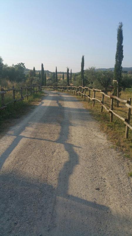 Lorena Agriturismo Maremma giardino