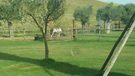 Lorena Agriturismo Maremma giardino