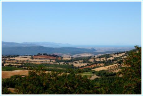 Lorena agriturismo Manciano Vista dal paese